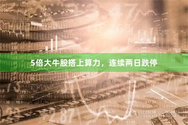 5倍大牛股搭上算力，连续两日跌停
